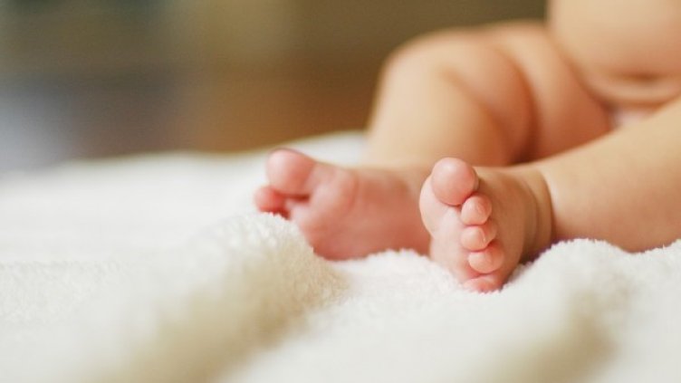 Снимка: flickr