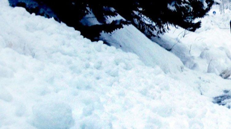 Снимка: архив Булфото