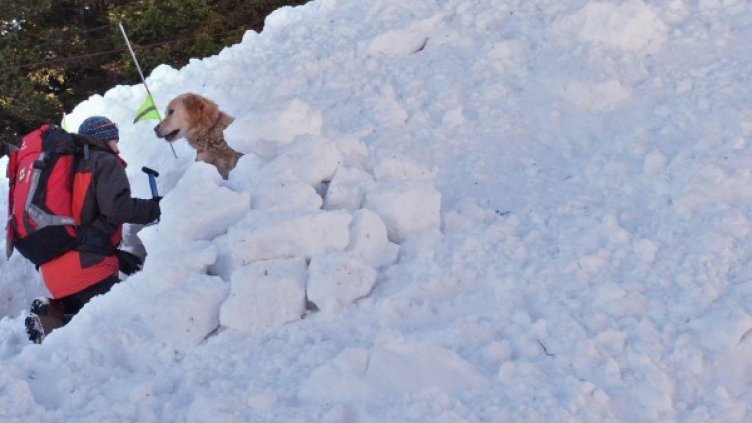 Снимка: архив Булфото