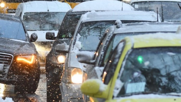 Снимка: архив "Булфото"