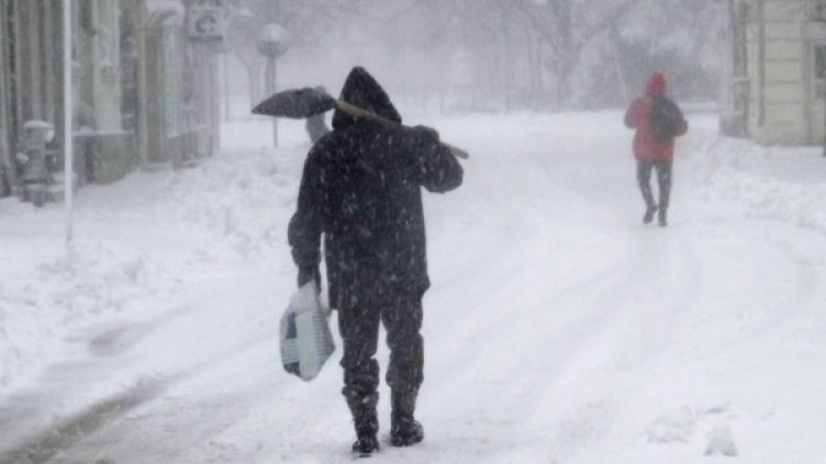 Снимка: Булфото, архив