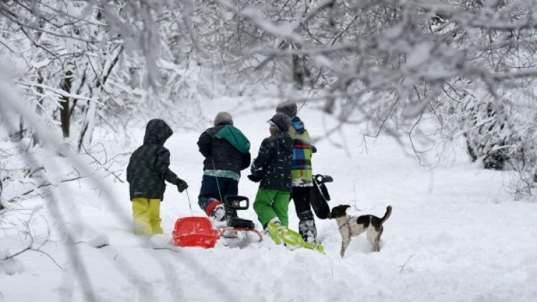 Снимка: Булфото, архив