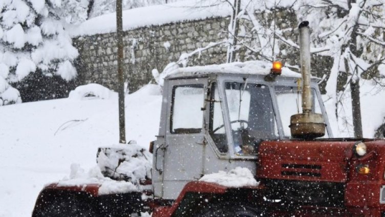 Снимка: Булфото, архив