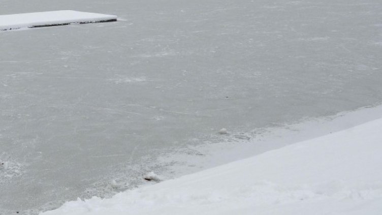 Архив: Булфото