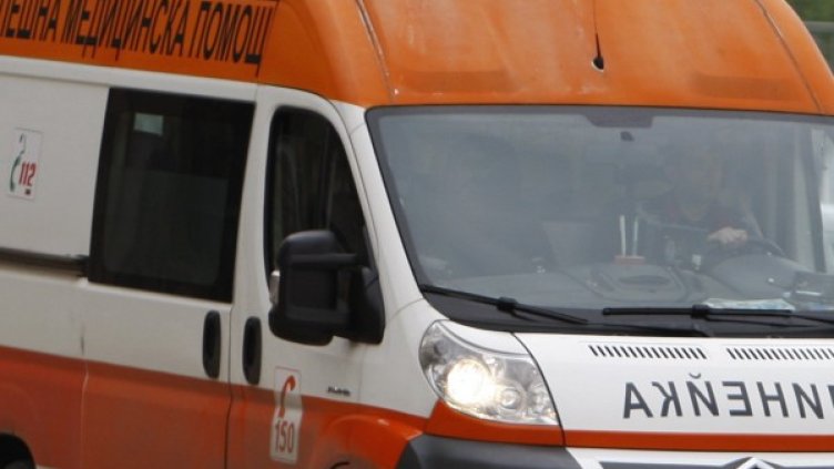 Снимка: Олег Попов, Dnes.bg