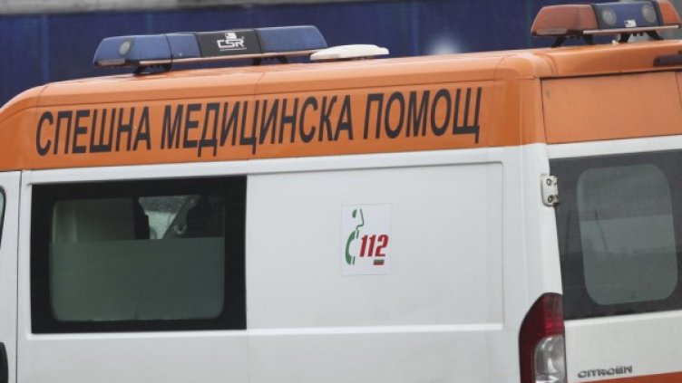 Снимка: Архив, Булфото