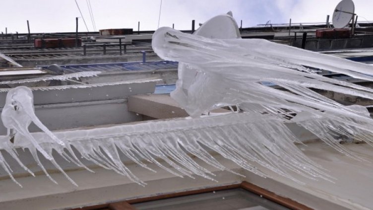 Снимка: архив "Булфото"