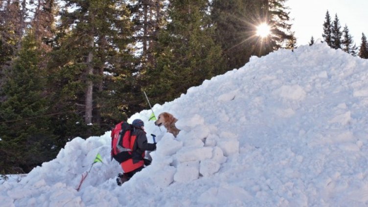 Архив: Булфото