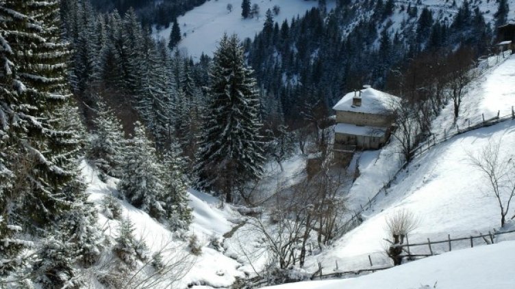 Снимка: Булфото, архив