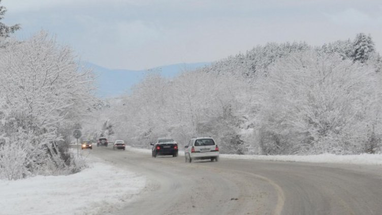 Снимка: архив, БулФото