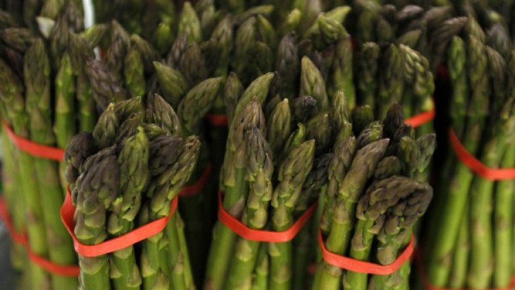 Снимка: Reuters, архив