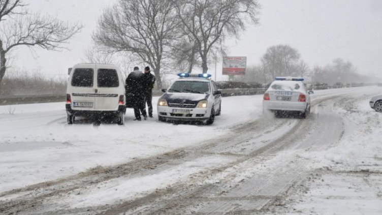 Снимка: архив "Булфото"