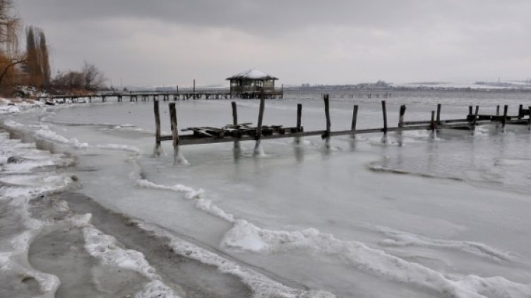 Снимка: Пламен Гутинов