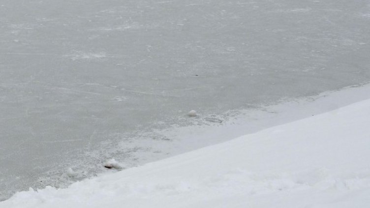 Архив: Булфото