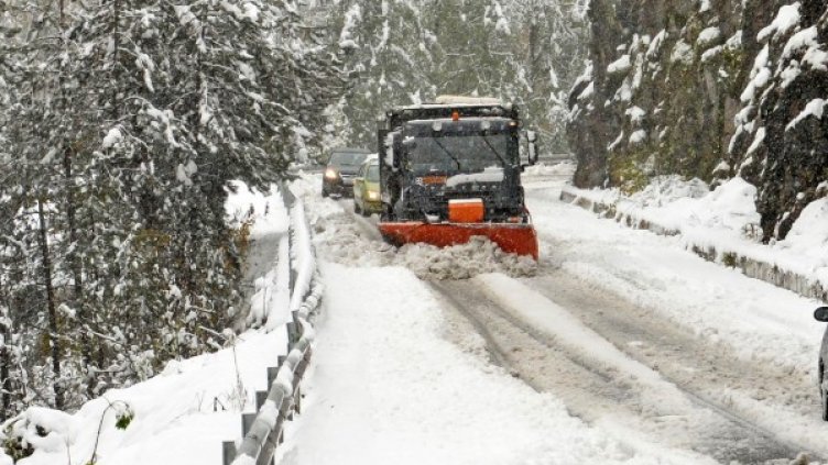 Снимка: Булфото, архив