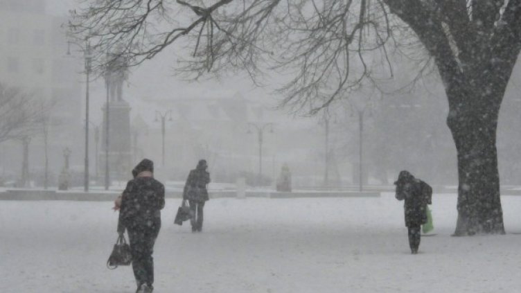 Снимка: Булфото, архив