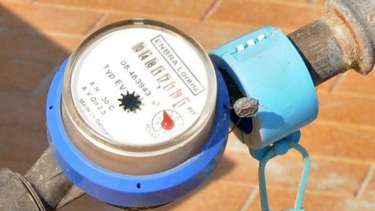 Снимка: Булфото, архив