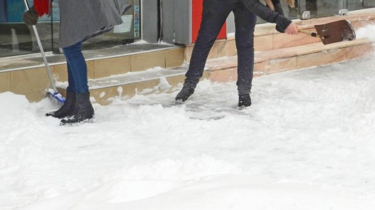 Снимка: Архив, Булфото