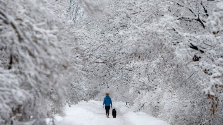 Снимка: Reuters, архив