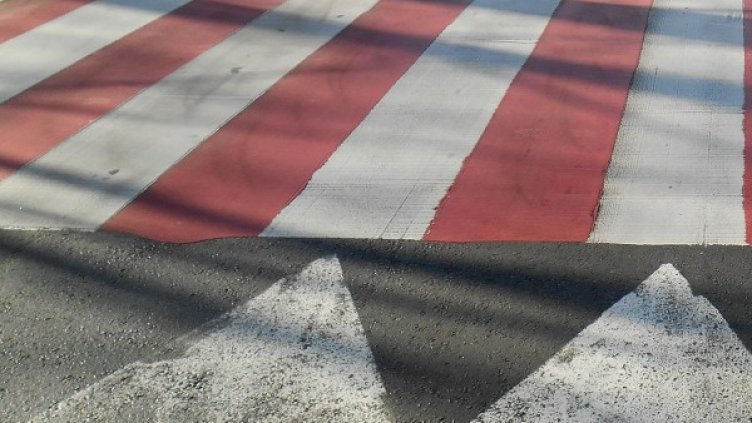 Снимка: архив Булфото