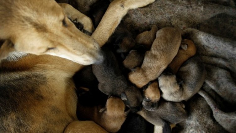 Снимка: Reuters, архив