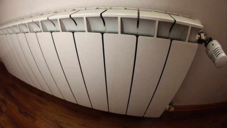 Снимка: Олег Попов, Dnes.bg