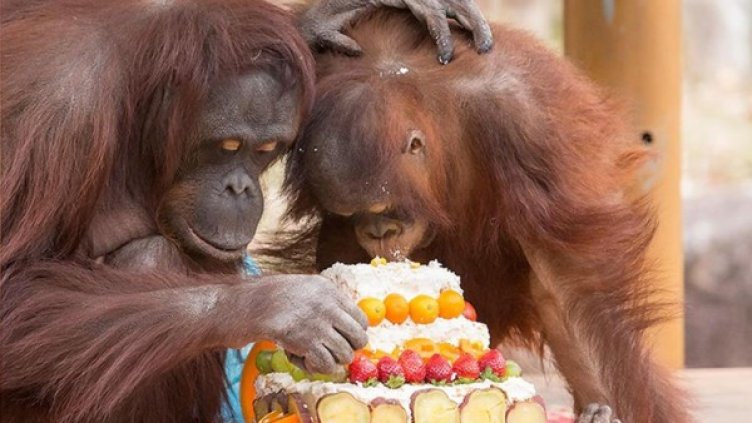 Снимка: thesun.co.uk