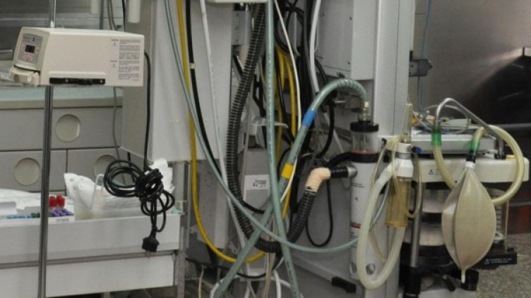 Снимка: архив, БулФото