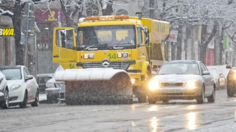 Снимка: архив "Булфото"