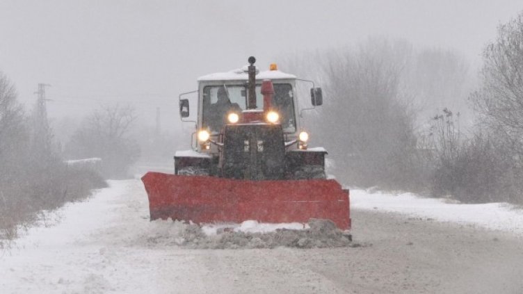 Снимка: архив Булфото