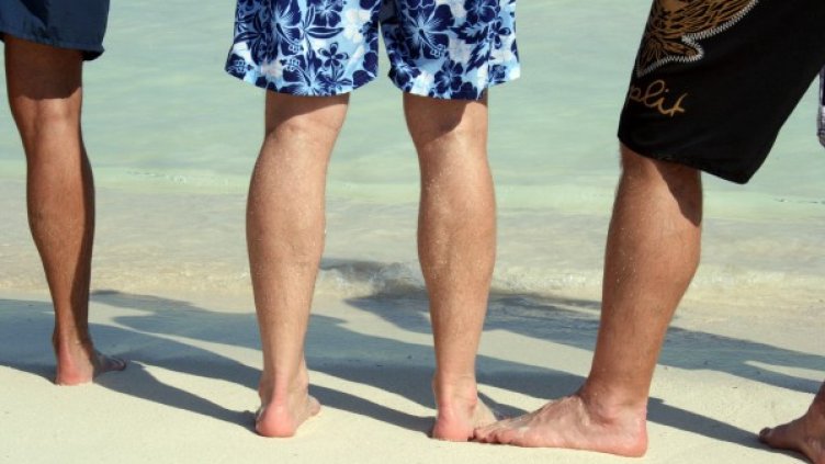 Снимка: freeimages