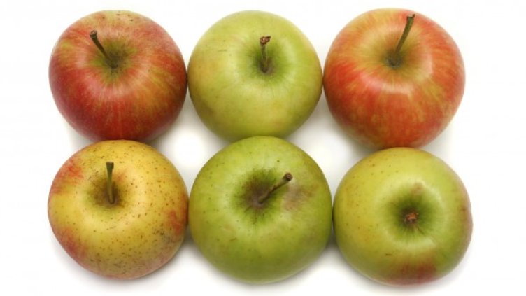 Снимка: freeimages