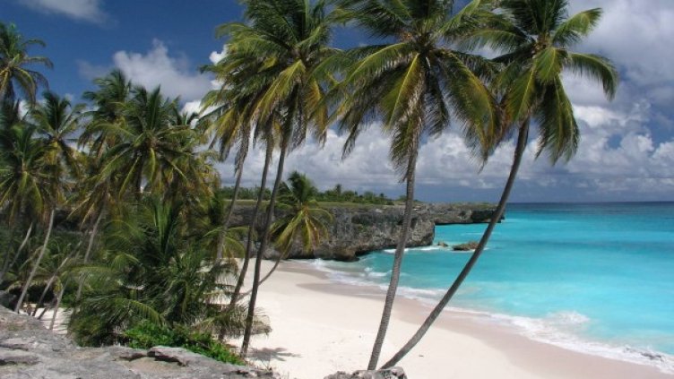 Снимка: freeimages