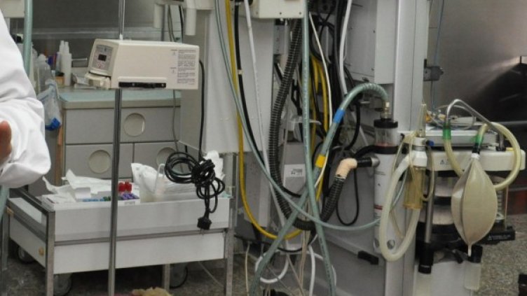 Снимка: архив, БулФото