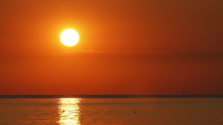 Снимка: Булфото