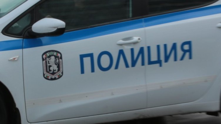 Снимка: Архив, Булфото