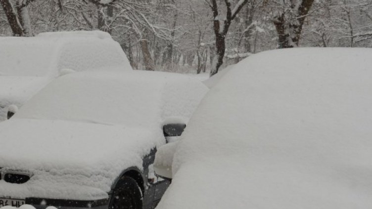 Снимка: Архив, Булфото
