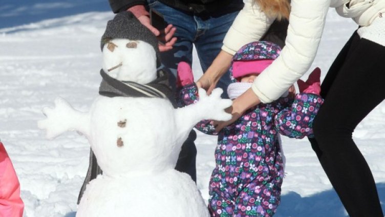 Снимка: Булфото