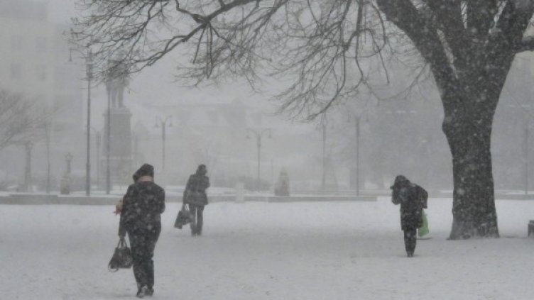 Снимка: Булфото, архив