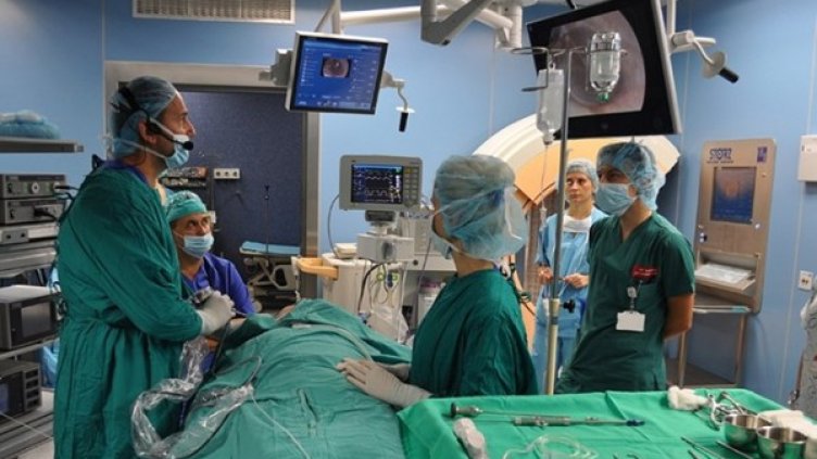 Снимка: 24 часа