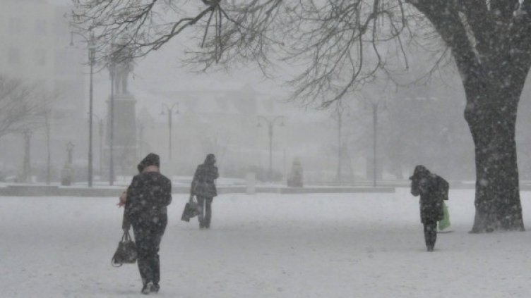 Снимка: Булфото, архив