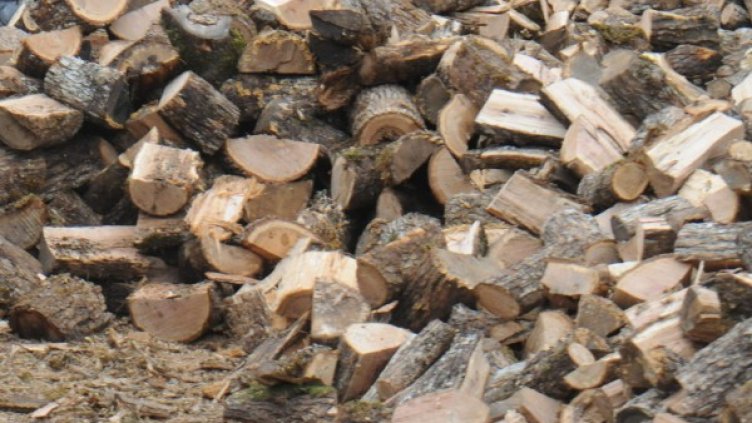 Снимка: Булфото, архив