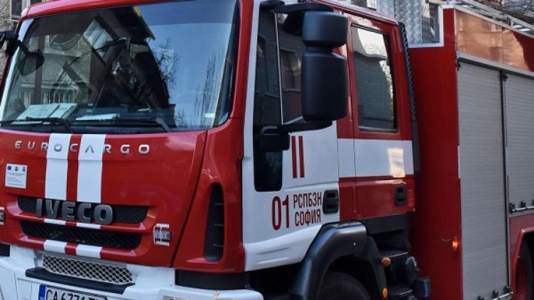 Снимка: архив Булфото