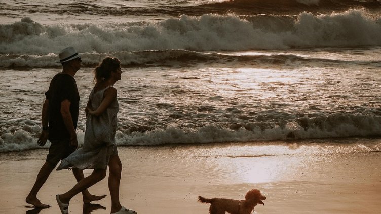 Глоба до 100 лв. за разходка на куче без каишка