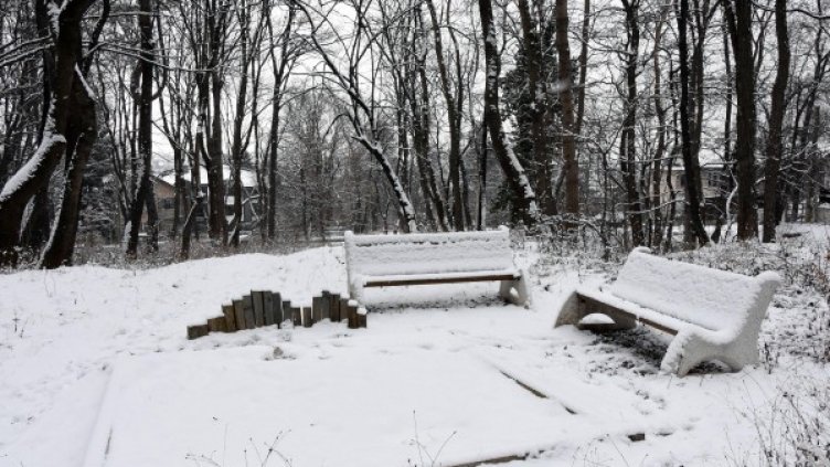 Архив: Булфото