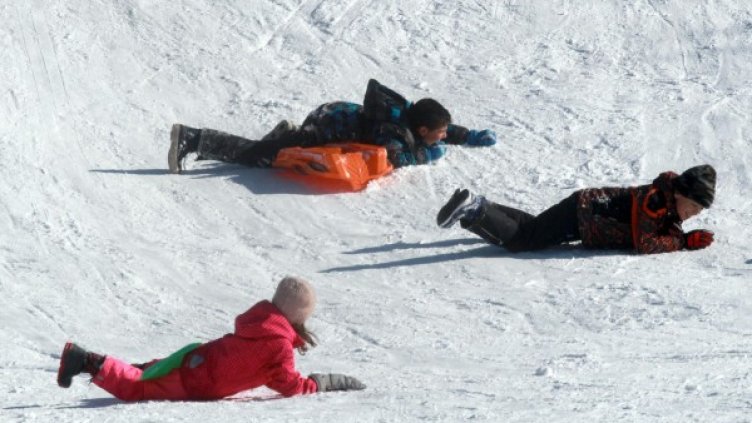 Снимка: архив Булфото