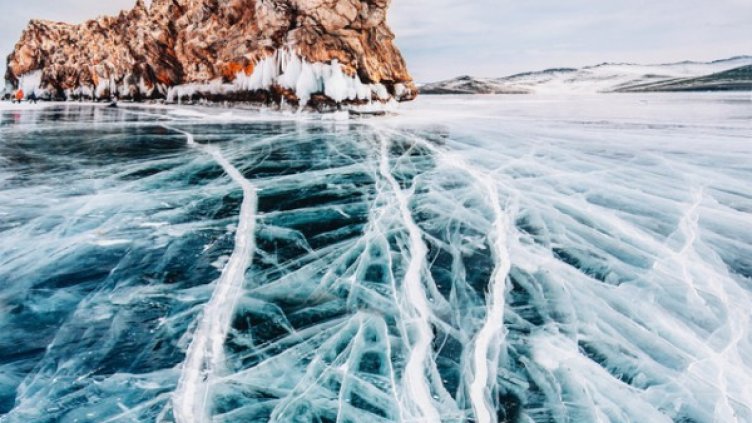 снимка: boredpanda