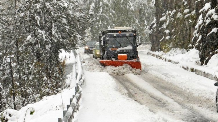 Снимка: Булфото, архив