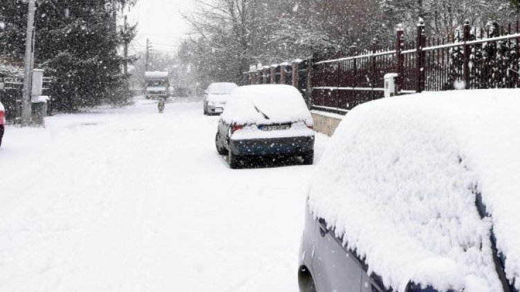 Архив: Булфото