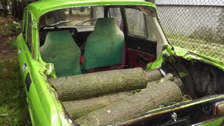 Снимка: Facebook